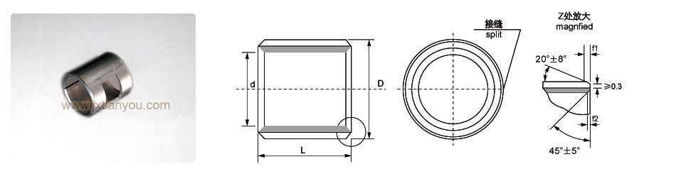 pS HCB20